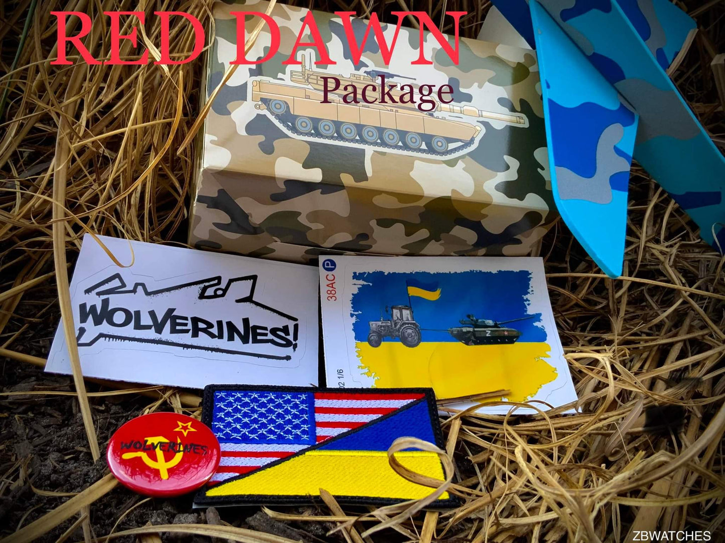 Sturmanskie Gagarin Commemorative Limited Edition Automatic Watch 2416/3805145N