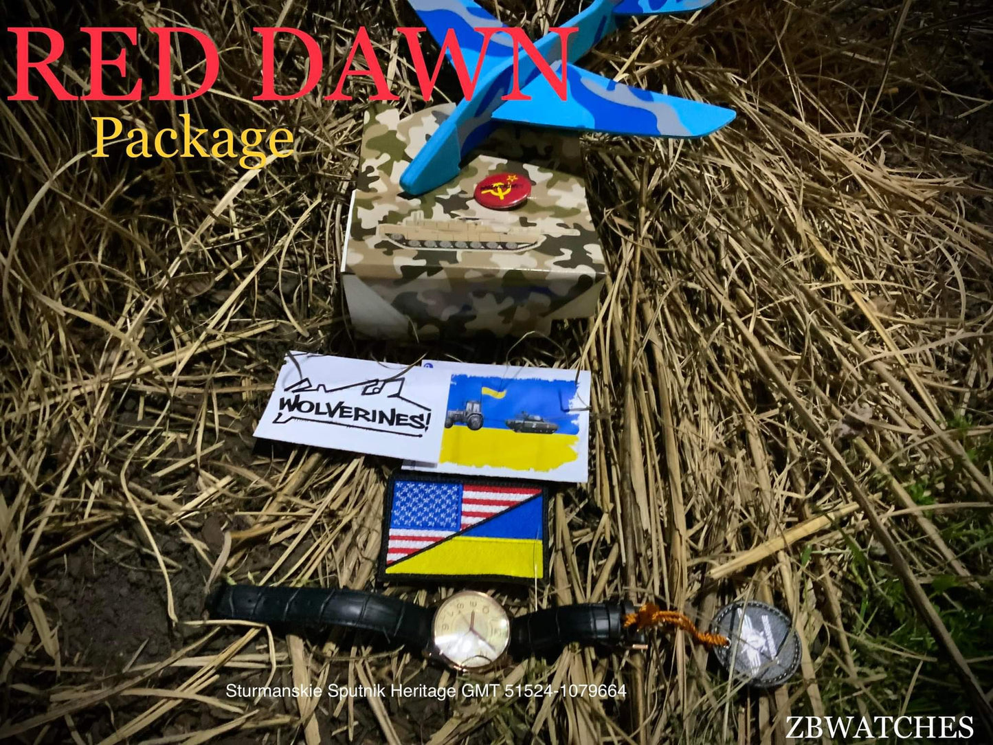 Sturmanskie Sputnik Heritage GMT 51524-1079664