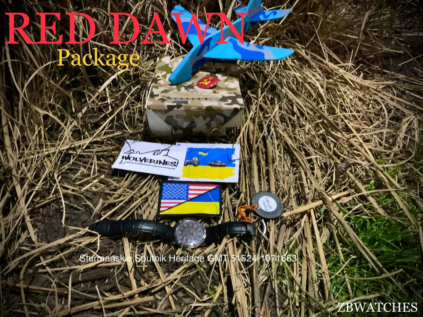 Sturmanskie Sputnik Heritage GMT 51524-1071663