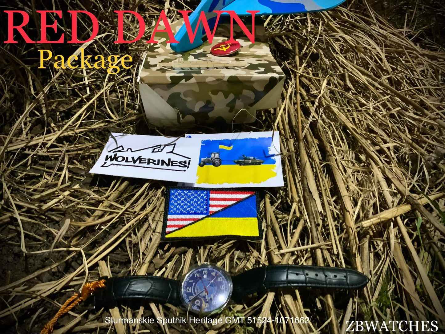 Sturmanskie Sputnik Heritage GMT 51524-1071662