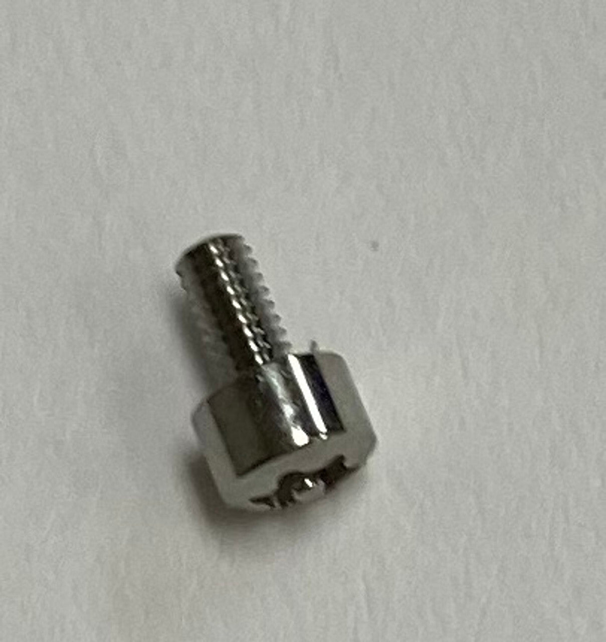 Anchar polished Screw For Strap